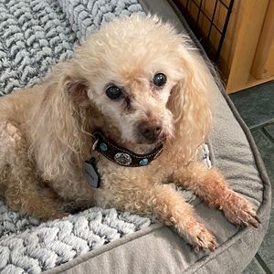 Meet your Posher, Maryann